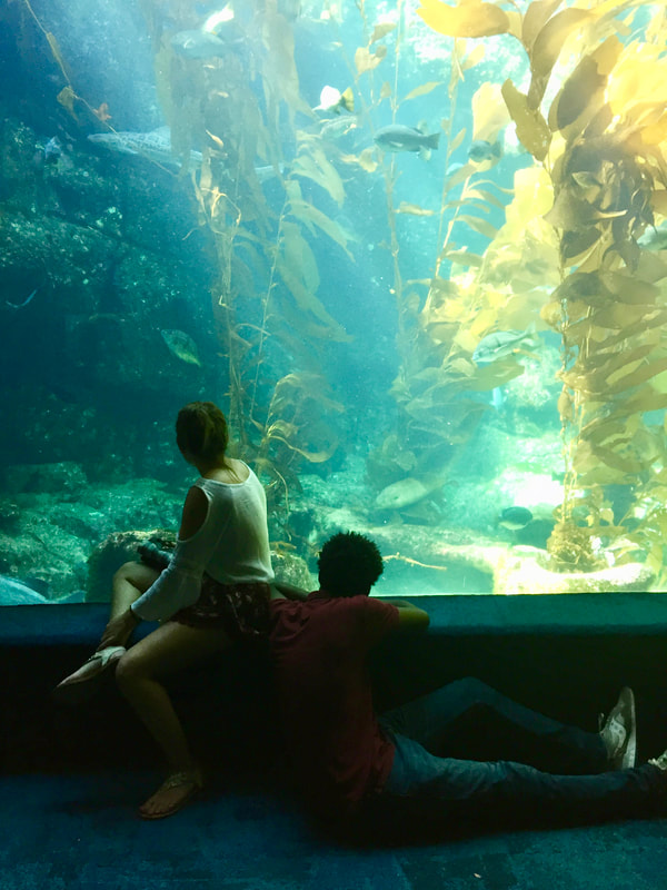 Young couple sitting in front of aquarium display.